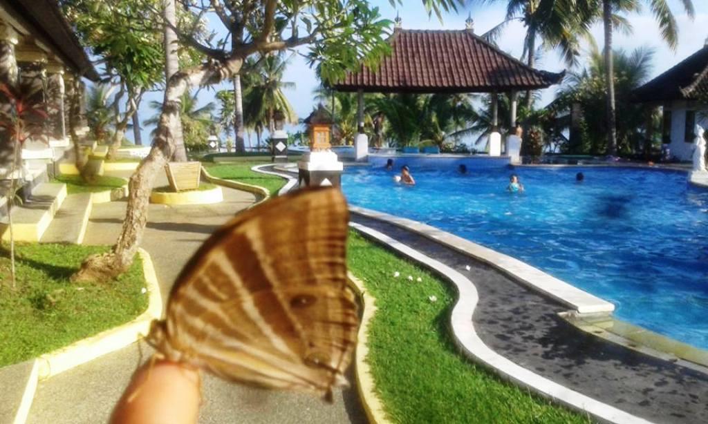 Bali Sunset Hotel Negara  Eksteriør billede